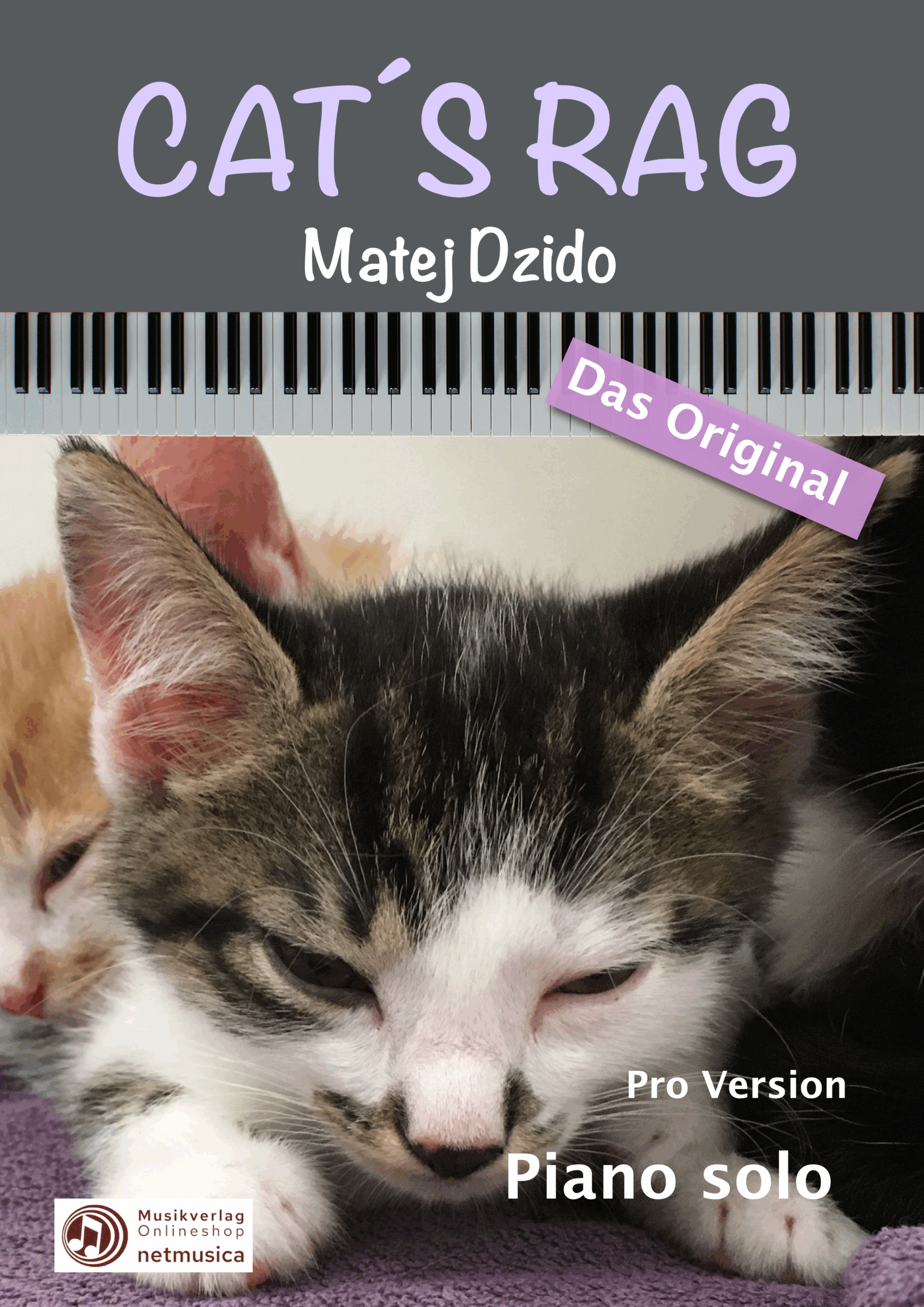 "The Cat´s Rag" für Klavier (Das Original)