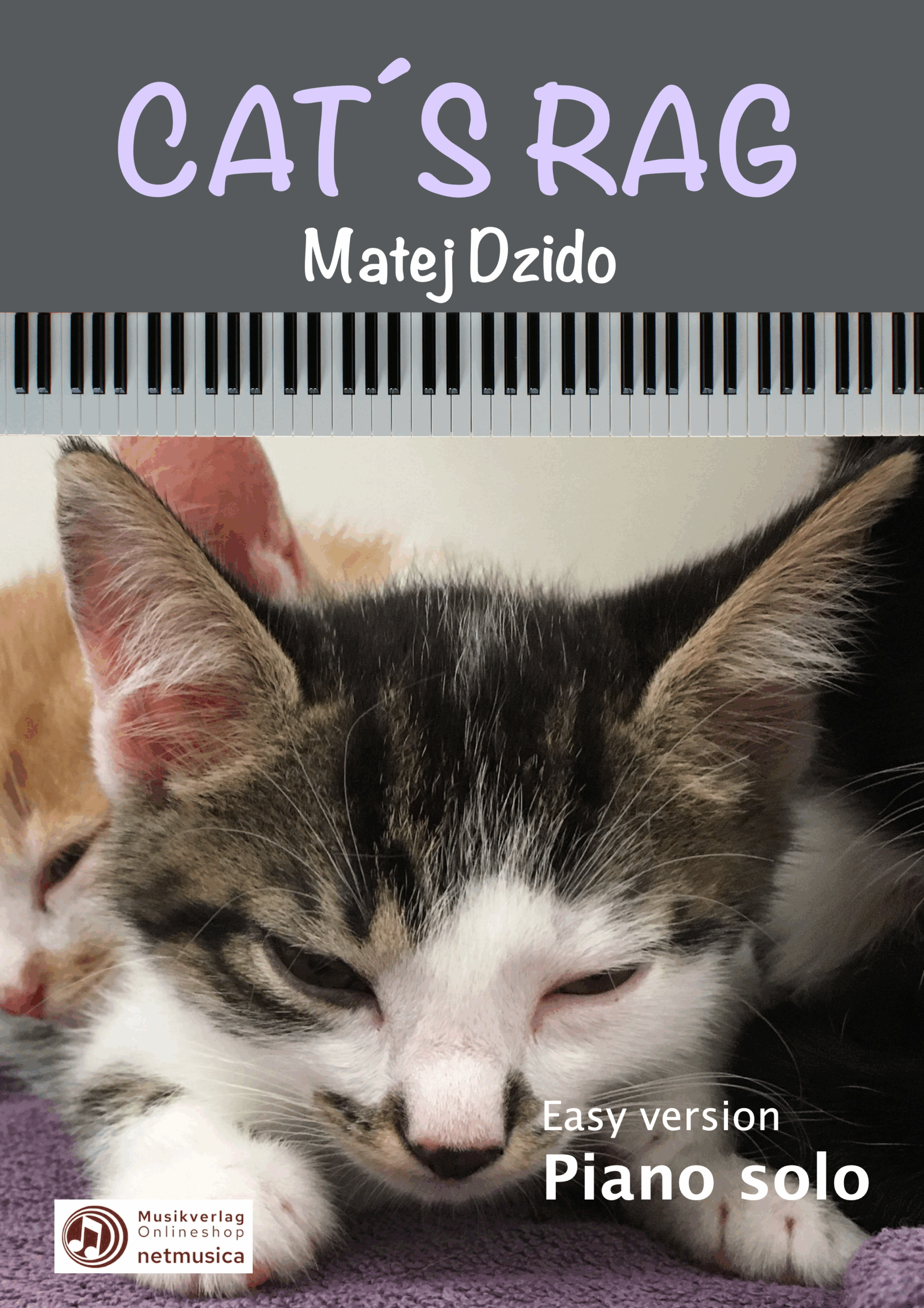 "The Cat´s Rag" für Klavier (Easy Version)